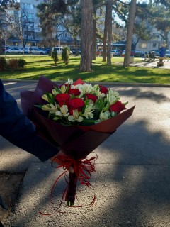 rozi i alstomeriq