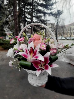 rozovo chudo