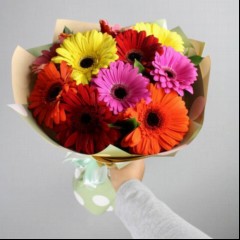 9gerbera